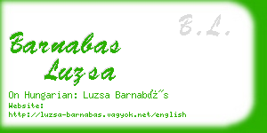 barnabas luzsa business card